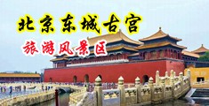 又大又粗日逼中国北京-东城古宫旅游风景区